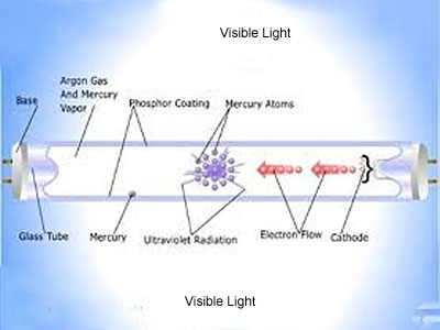 Safe Lamp recycling and disposal to protect the environment.